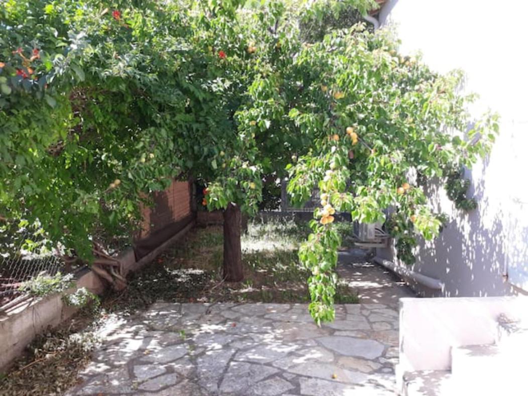 Le Galli En Plein Coeur De Sanary Eksteriør bilde